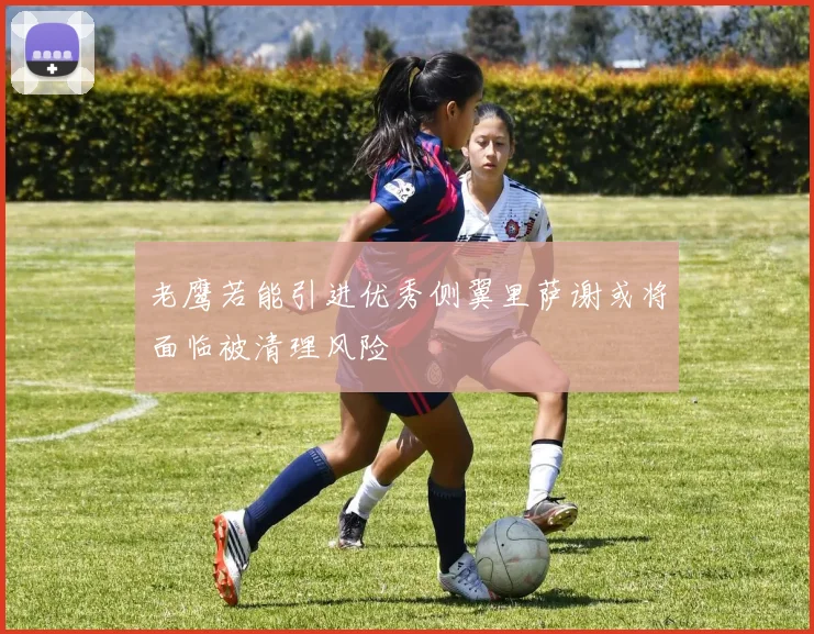 老鹰若能引进优秀侧翼里萨谢或将面临被清理风险